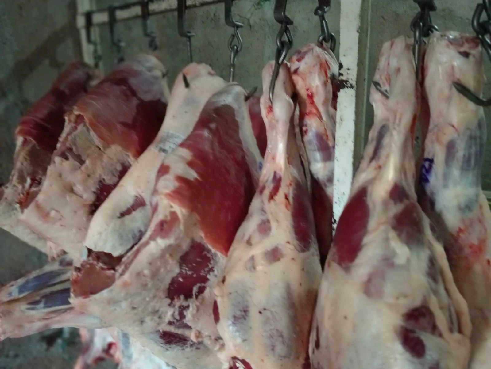 Black Chicken - Imagen 4